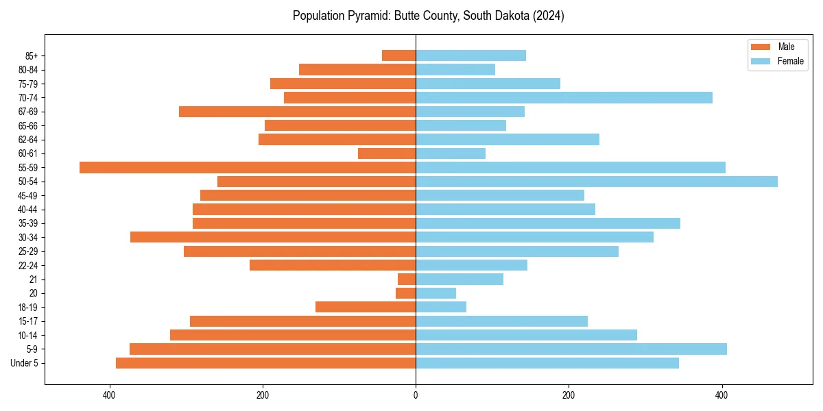 Population pyramid for 