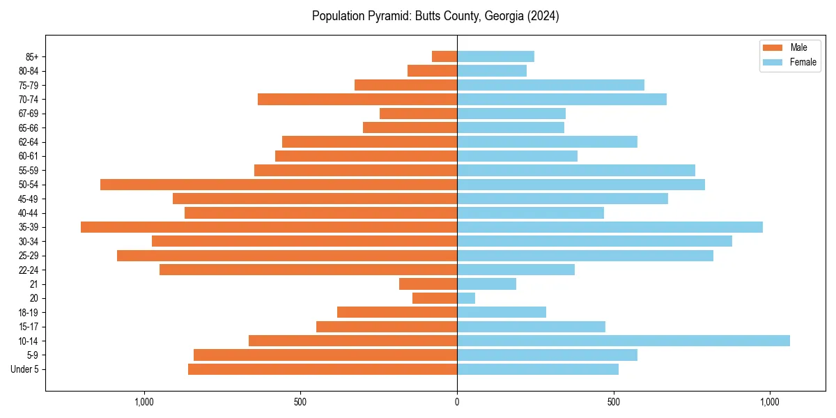 Population pyramid for 