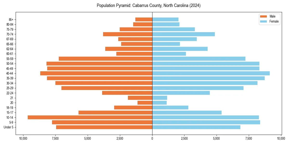 Population pyramid for 