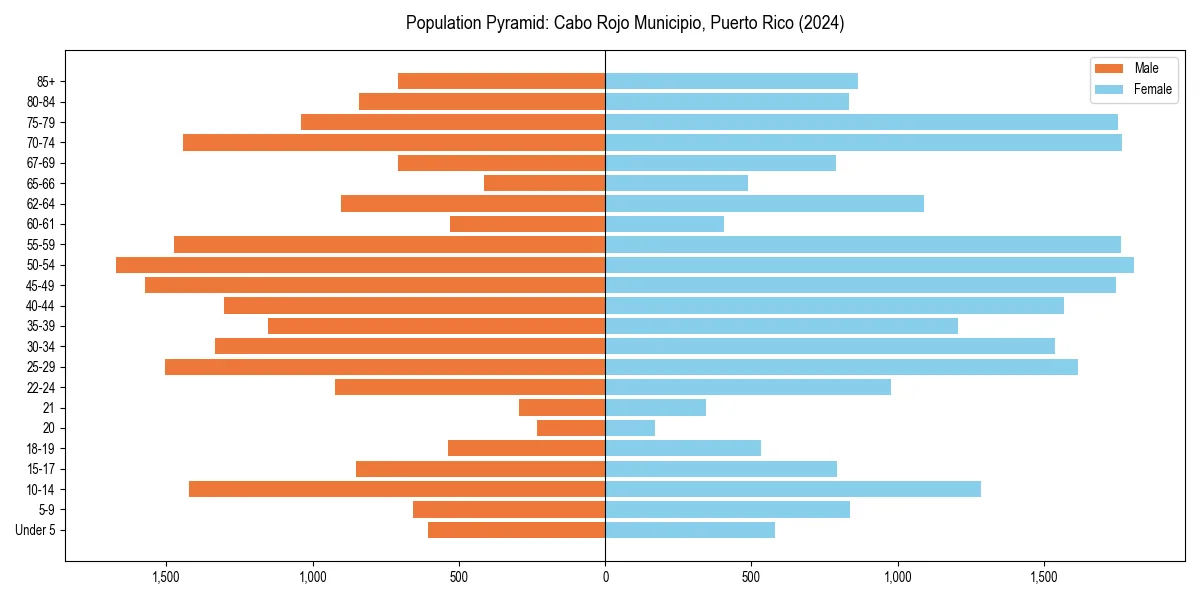 Population pyramid for 
