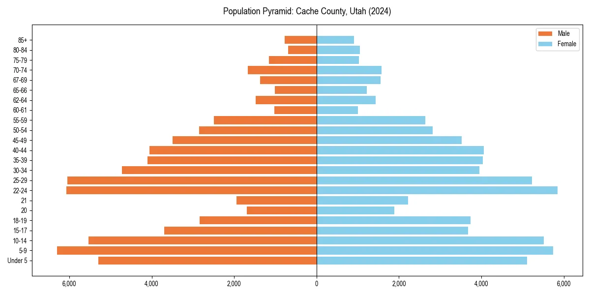 Population pyramid for 