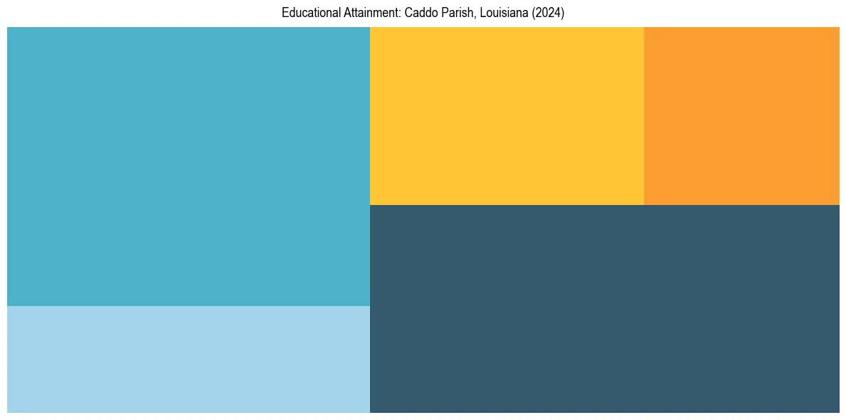 Education Treemap for  in 2024