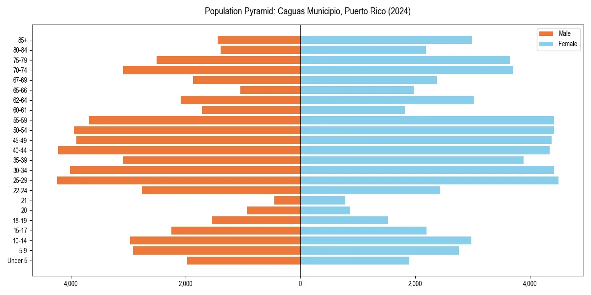 Population pyramid for 
