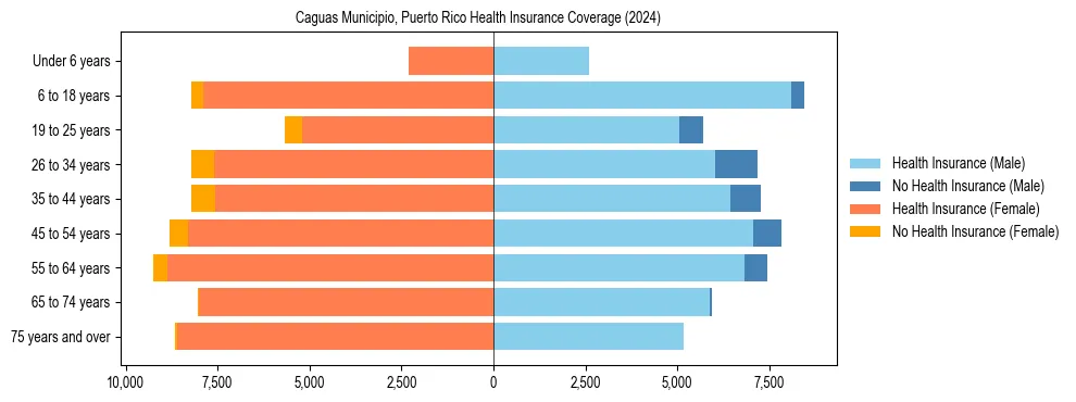 Health insurance pyramid for Caguas Municipio, Puerto Rico