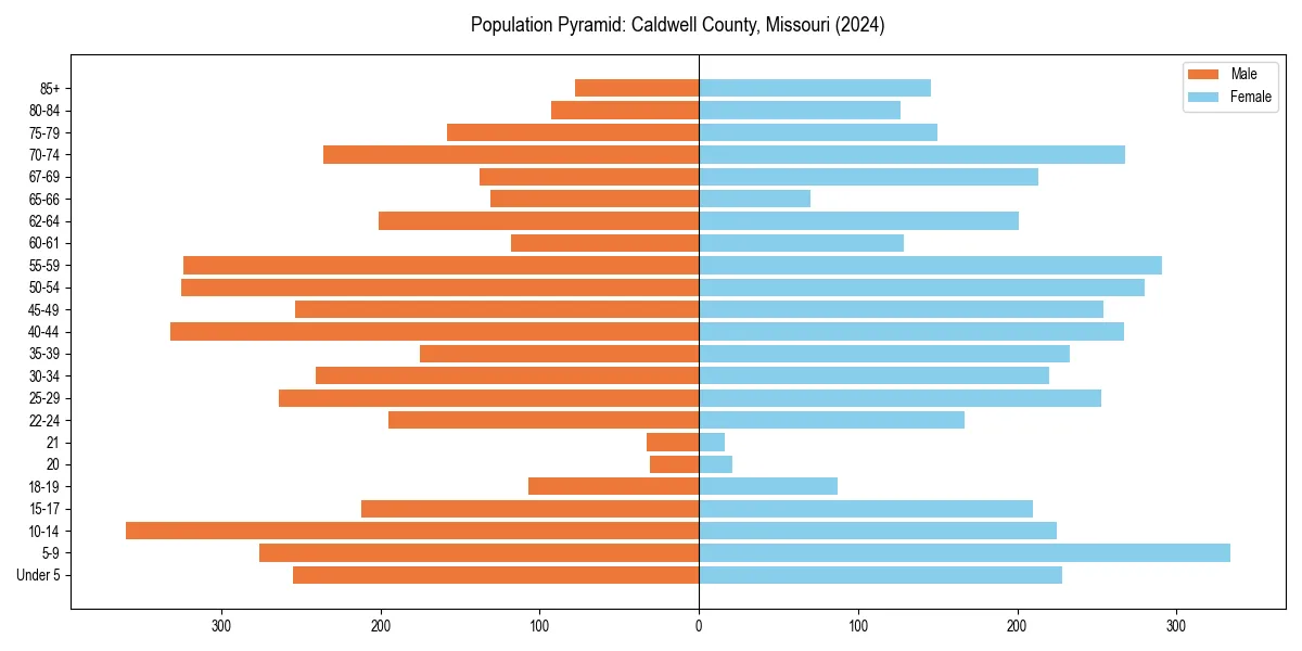 Population pyramid for 