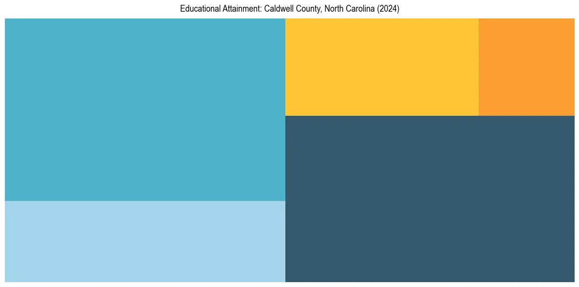 Education Treemap for  in 2024