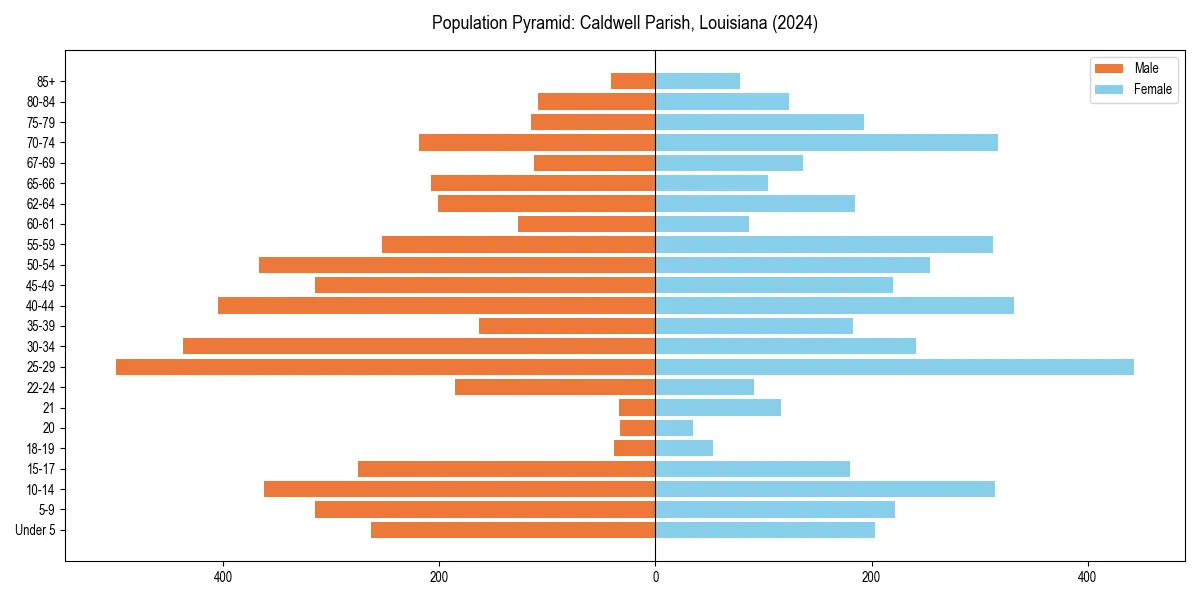 Population pyramid for 