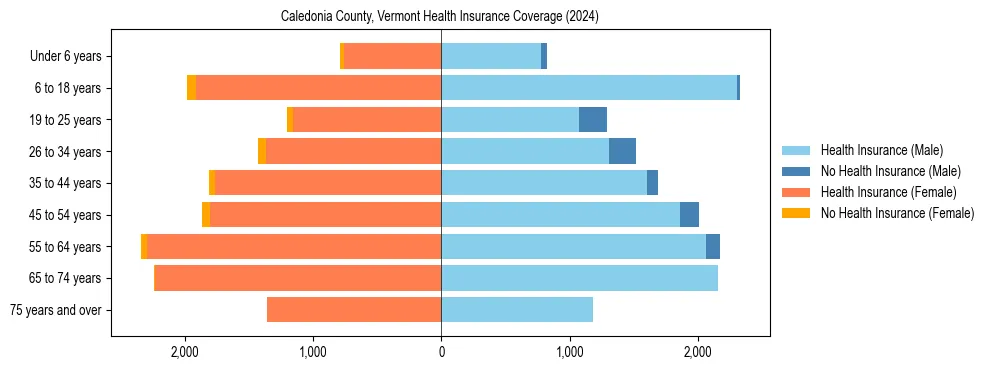 Health insurance pyramid for Caledonia County, Vermont