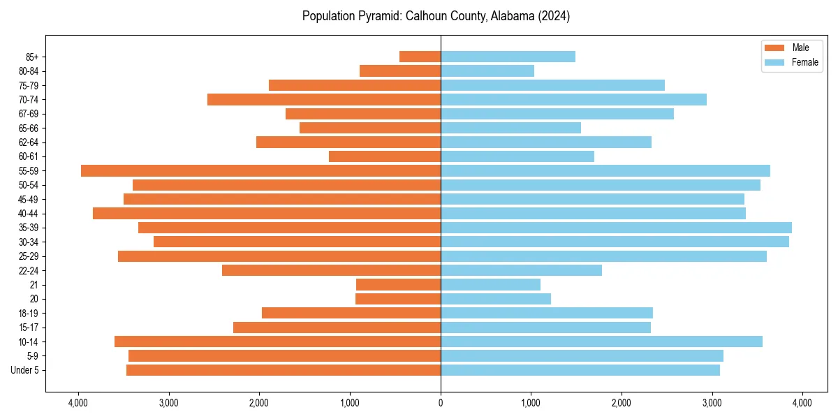 Population pyramid for 