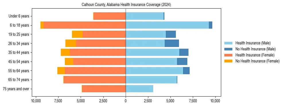 Health insurance pyramid for Calhoun County, Alabama