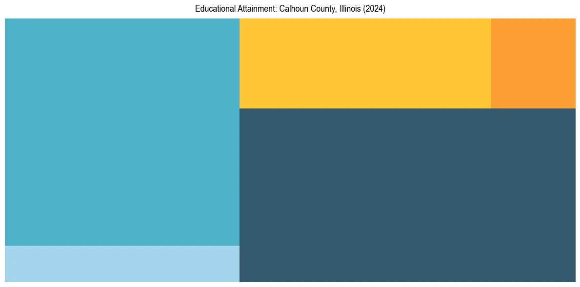 Education Treemap for  in 2024