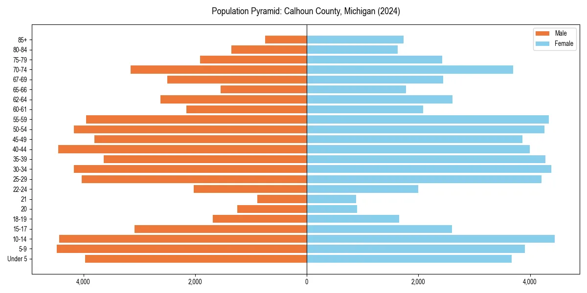 Population pyramid for 