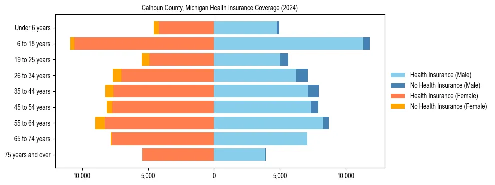 Health insurance pyramid for Calhoun County, Michigan