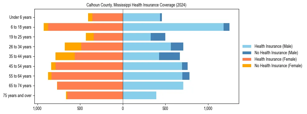 Health insurance pyramid for Calhoun County, Mississippi