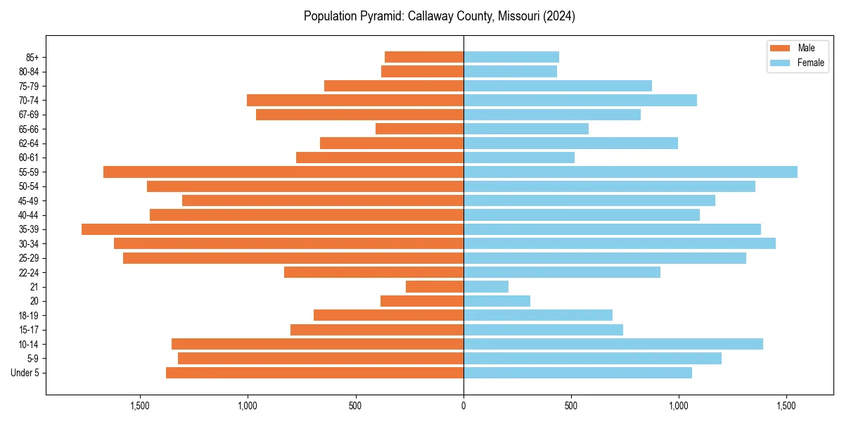 Population pyramid for 