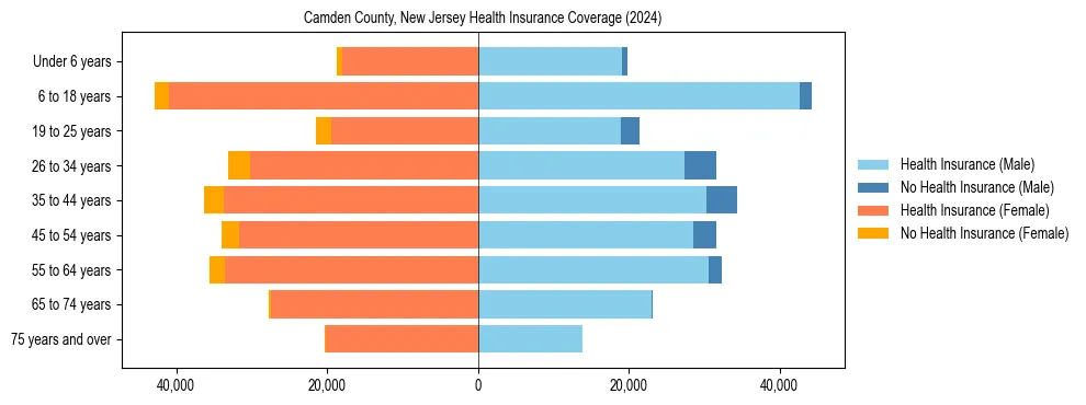 Health insurance pyramid for Camden County, New Jersey