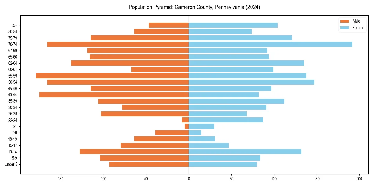 Population pyramid for 