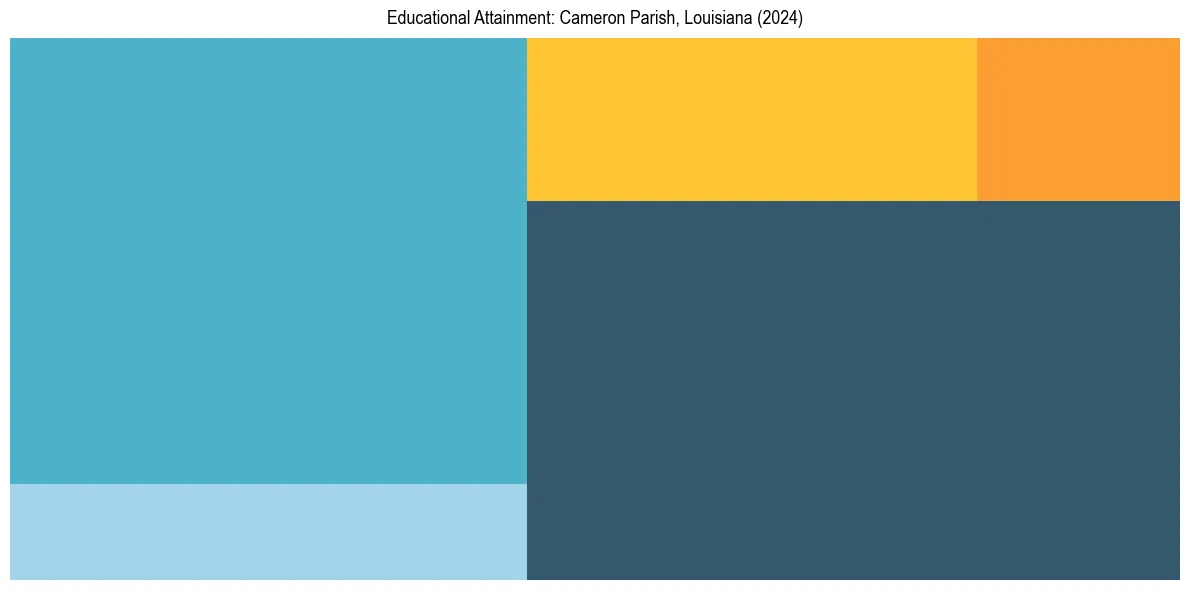 Education Treemap for  in 2024