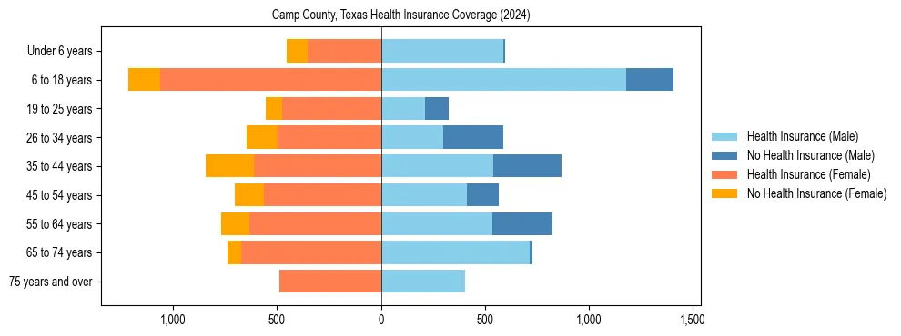 Health insurance pyramid for Camp County, Texas
