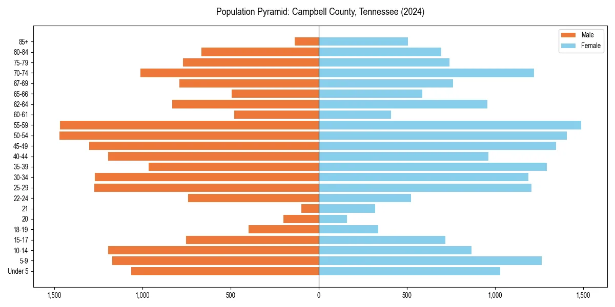 Population pyramid for 