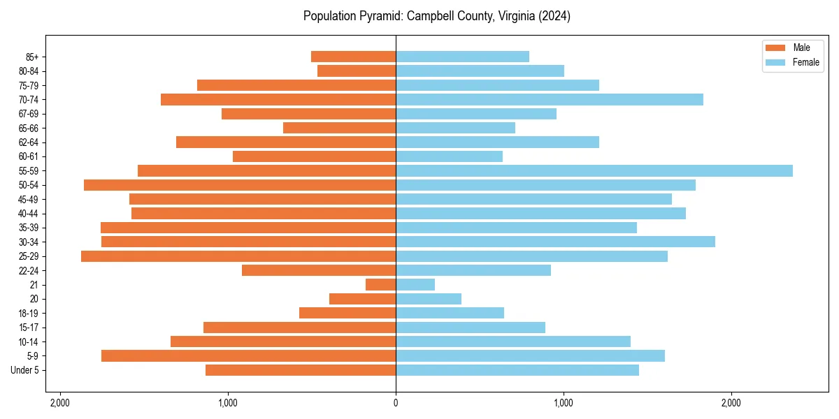 Population pyramid for 