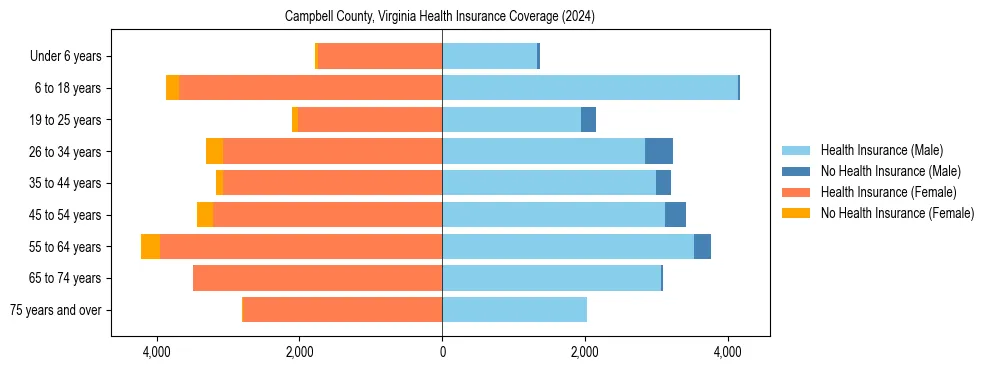 Health insurance pyramid for Campbell County, Virginia
