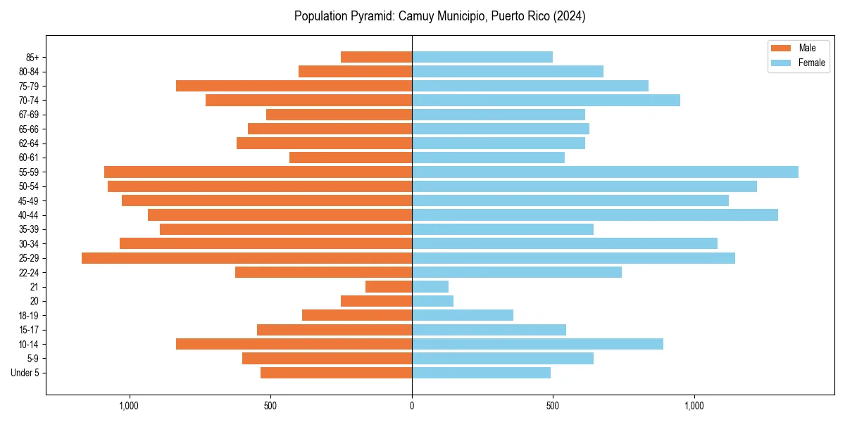 Population pyramid for 
