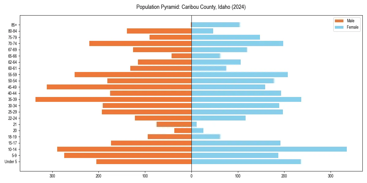 Population pyramid for 