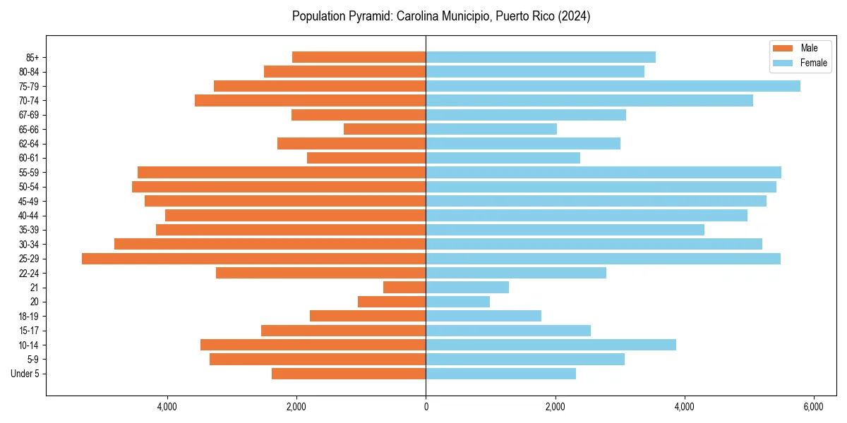 Population pyramid for 