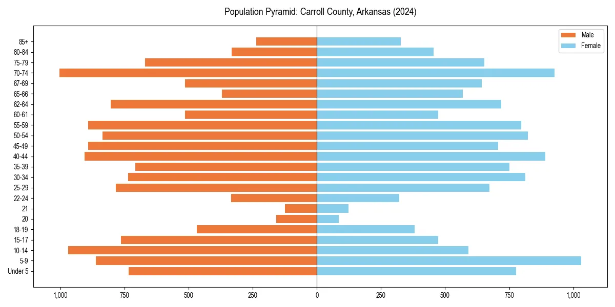 Population pyramid for 