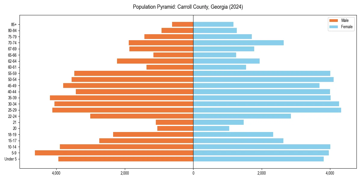 Population pyramid for 