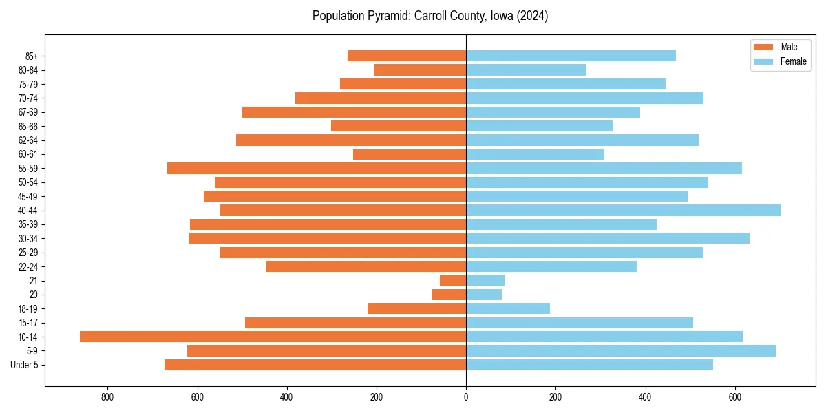 Population pyramid for 