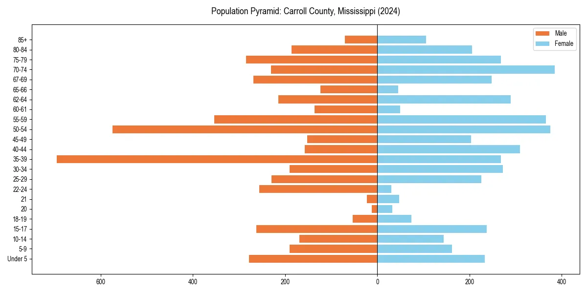 Population pyramid for 