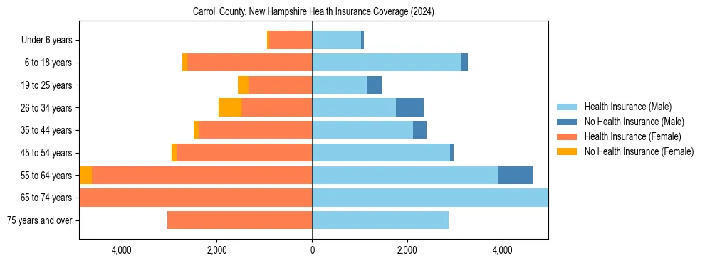 Health insurance pyramid for Carroll County, New Hampshire