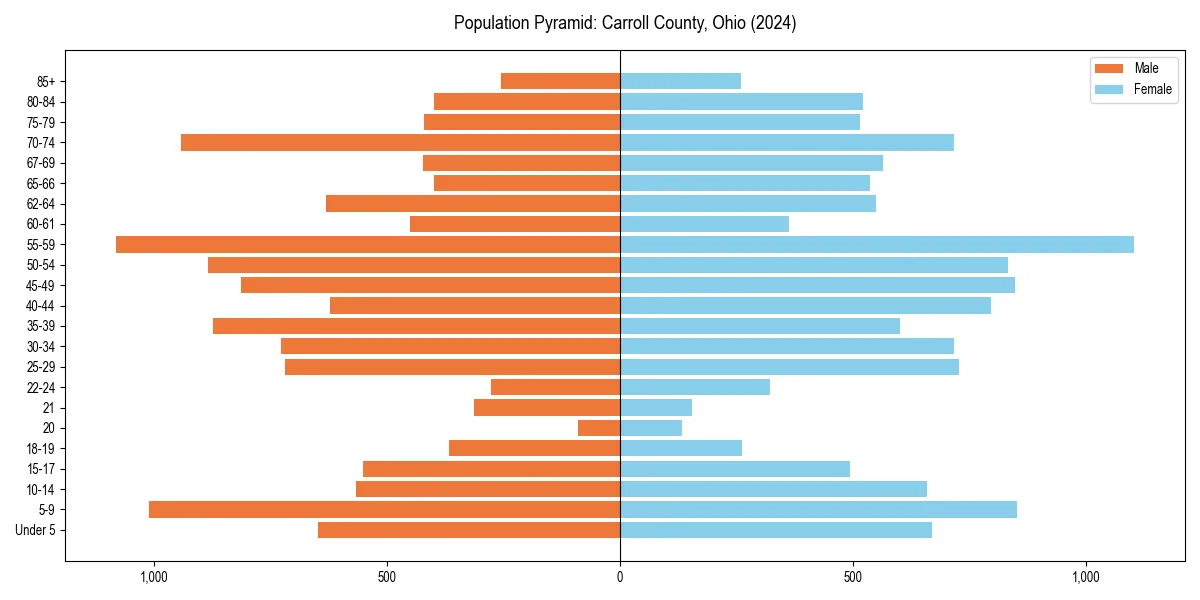 Population pyramid for 
