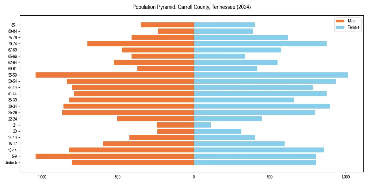 Population pyramid for 