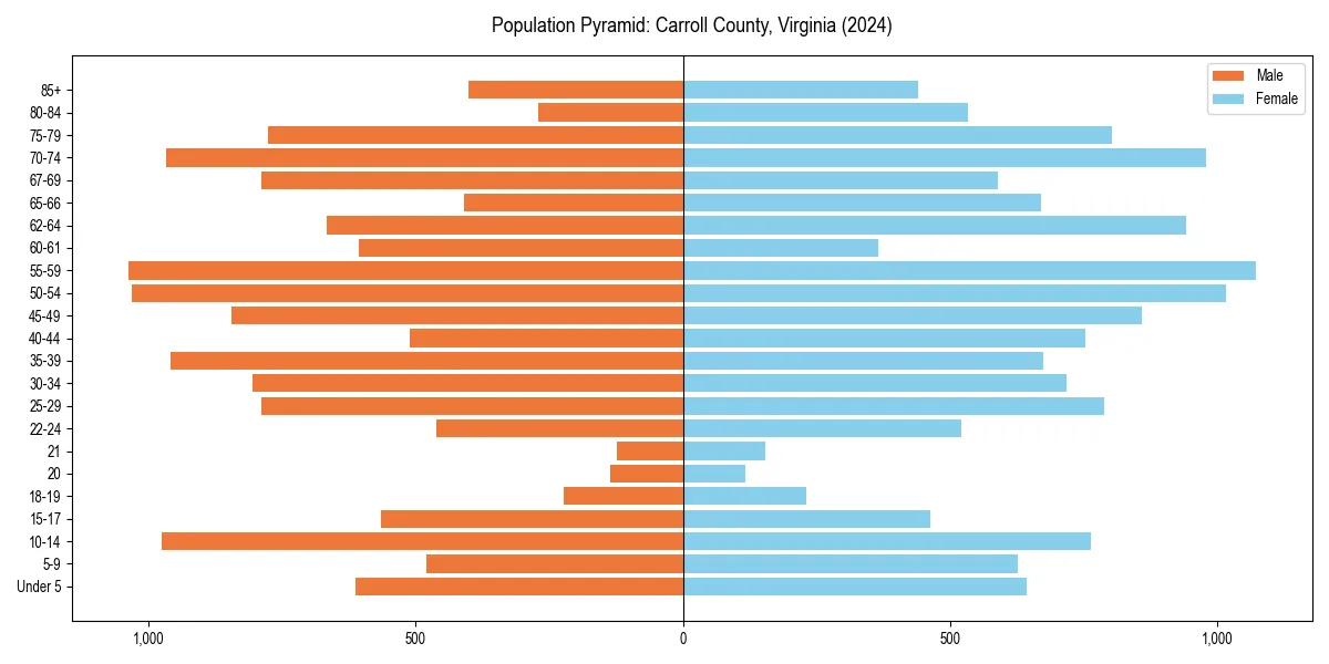 Population pyramid for 