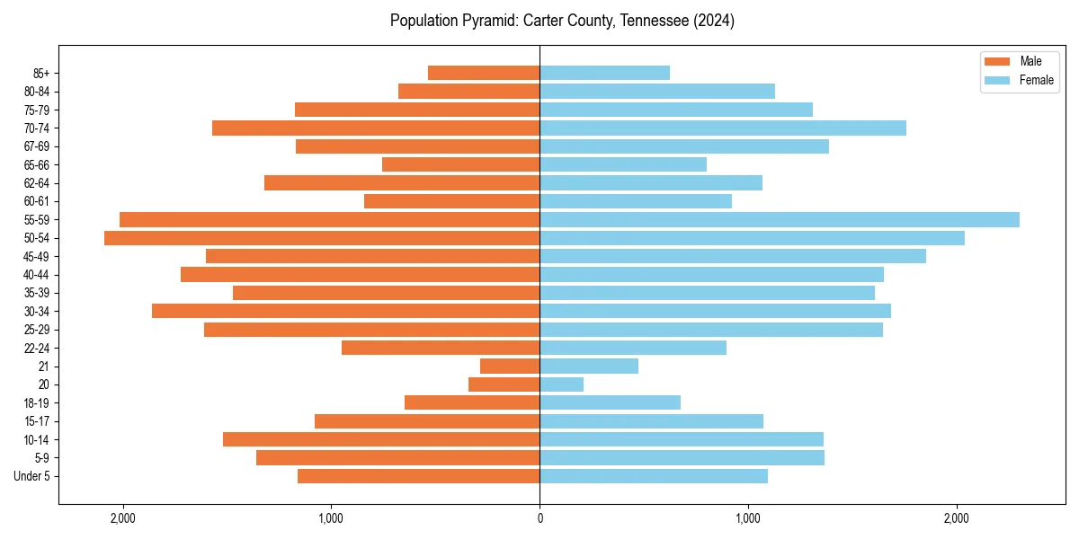 Population pyramid for 