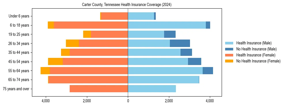 Health insurance pyramid for Carter County, Tennessee