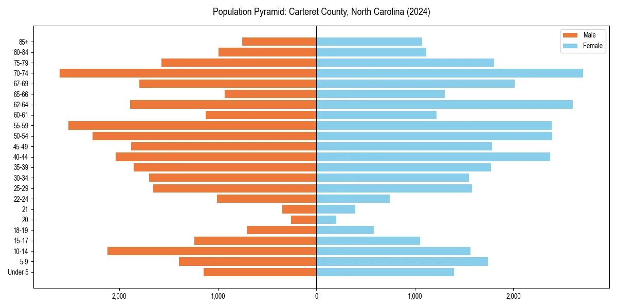 Population pyramid for 