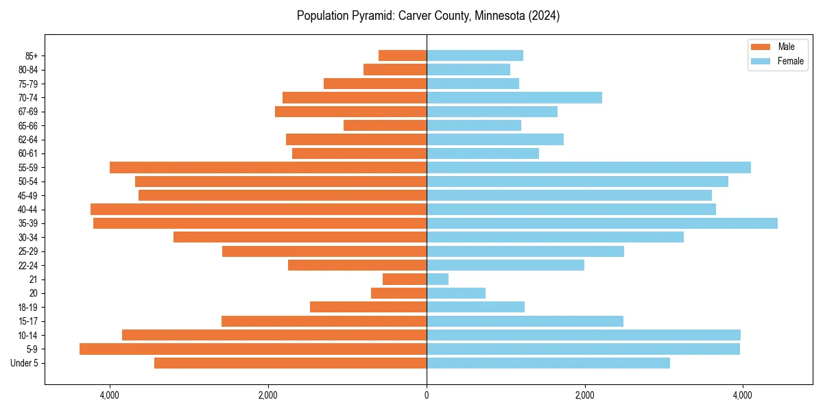 Population pyramid for 
