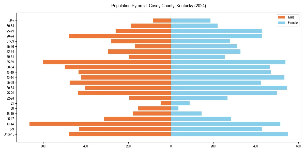 Population pyramid for 
