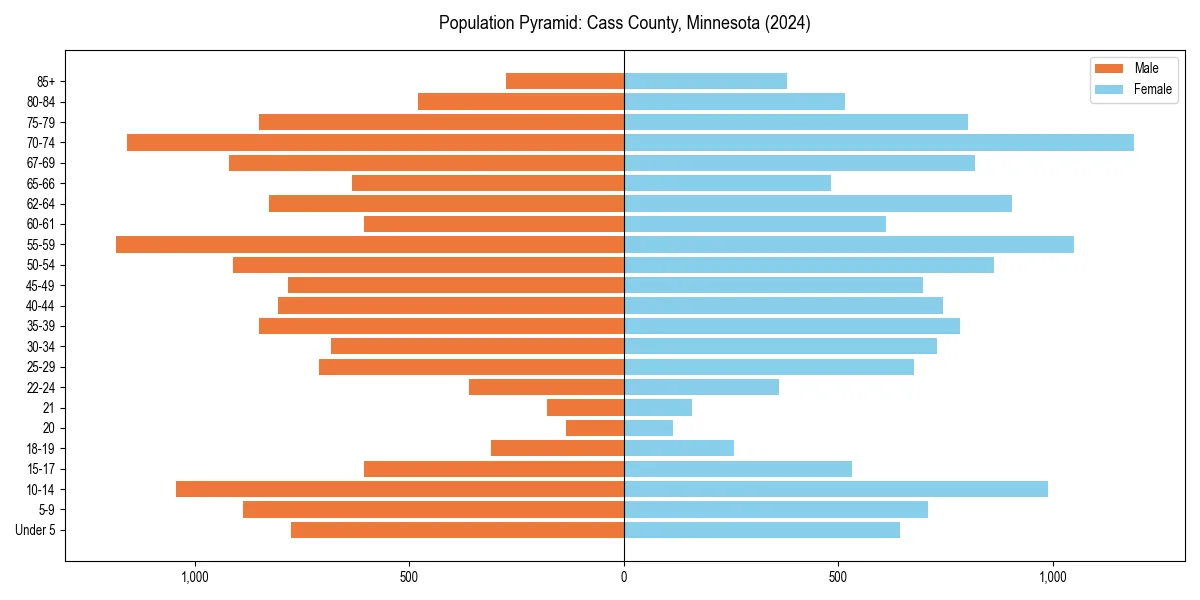 Population pyramid for 