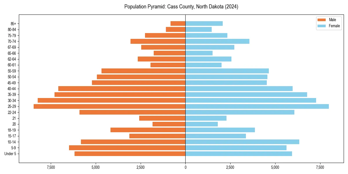 Population pyramid for 