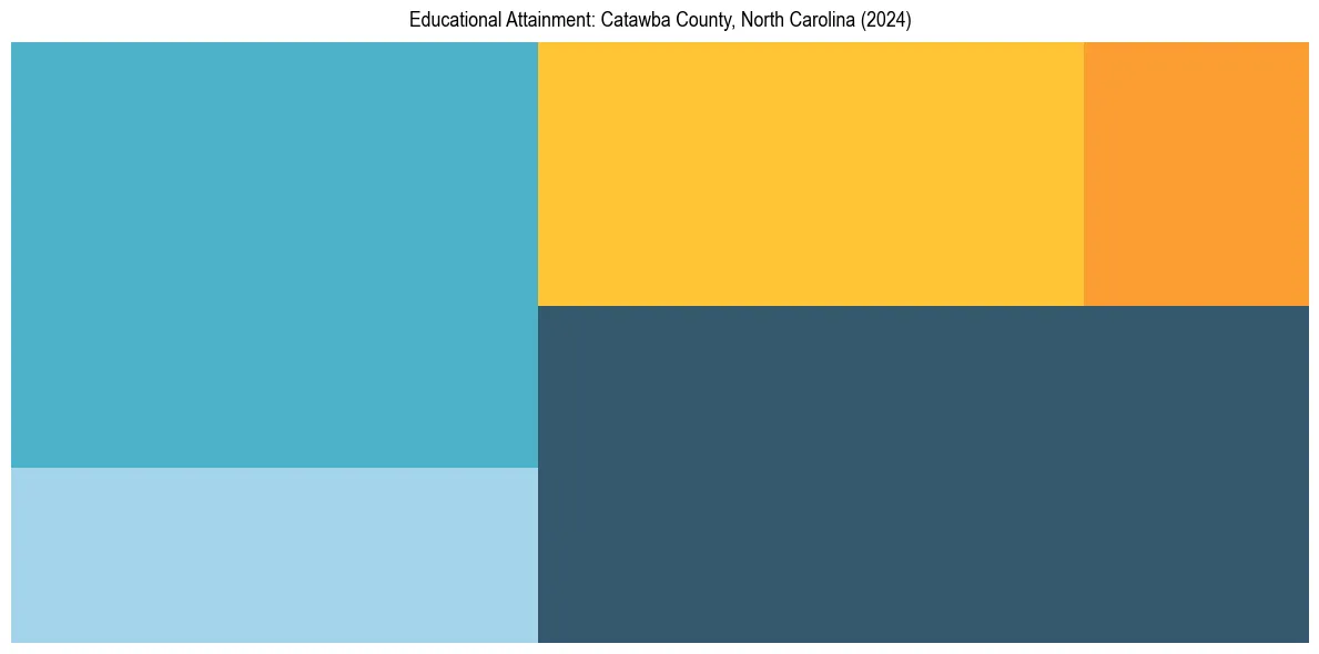 Education Treemap for  in 2024