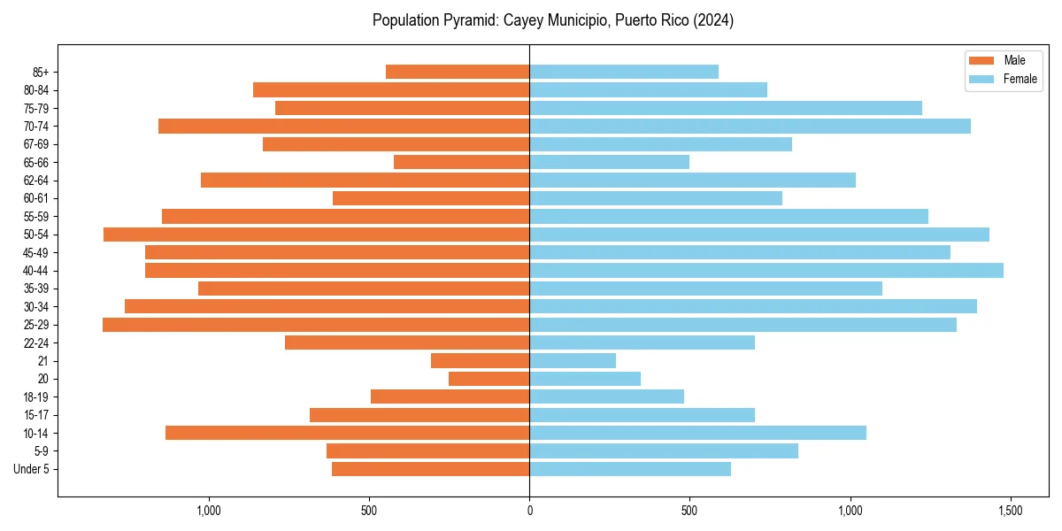 Population pyramid for 
