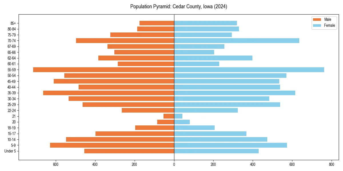 Population pyramid for 