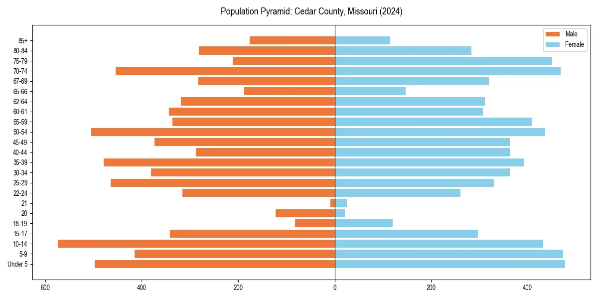 Population pyramid for 