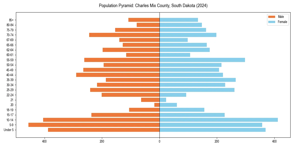 Population pyramid for 