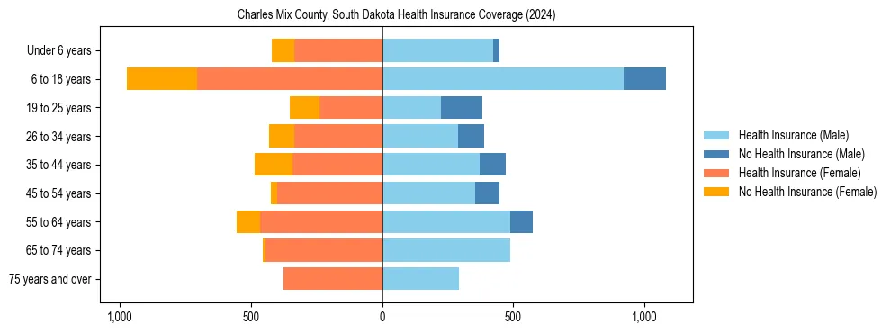 Health insurance pyramid for Charles Mix County, South Dakota